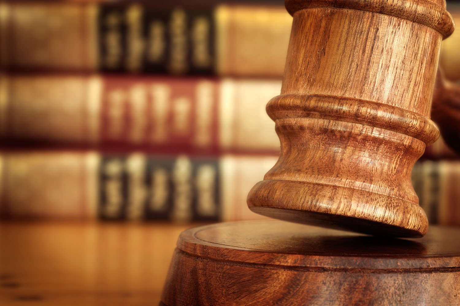 <span style="font-weight: bold;">Гражданские дела</span>